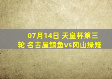 07月14日 天皇杯第三轮 名古屋鲸鱼vs冈山绿雉